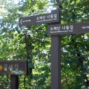 밀림 이미지