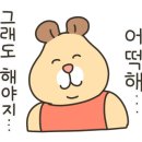 라코지스테이서울 이미지