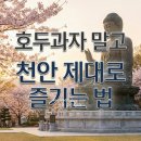 온겨레농장 이미지