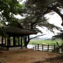 청포대휴야영장 이미지