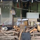 단양삼시세끼 이미지