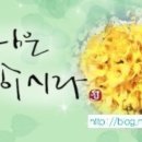 동성제일유치원 이미지