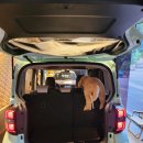 한양오토카 | [방문후기]기아360(구 기아비트)-2024년 5월25일