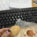 네일했냐옹 이미지