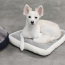 유니독스 이미지