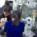 노아메디컬(주) 이미지