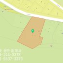 춘천오늘부동산공인중개사사무소 이미지