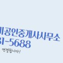 샤인공인중개사사무소 이미지