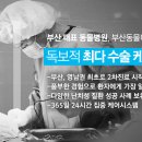 기인메디칼 이미지