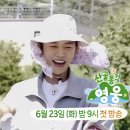 🥬🥬상추수확은 이제부터 뜯는게 아니고 뽑는거죠🤣 산골총각 홍보마니요^^ 이미지
