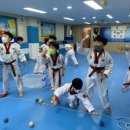 송향태권도장 이미지