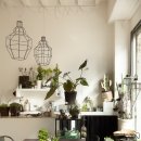 식물 인테리어 이미지