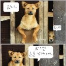 참 이미지