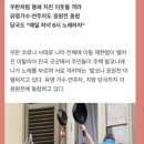 홍피아노 이미지