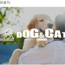 송도그 이미지