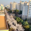 반계공원 이미지