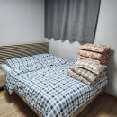물건가족펜션 티스토리