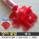 꽃잎 이미지
