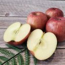 문경거점산지유통센터 | 아침에 먹기 좋은 부사 겨울과일 햇사과 "문경 꿀사과"