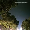 고요의계절 이미지