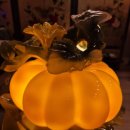 여주-0365 이미지