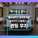 광일모터스 | 팰리세이드화이트크림솔라가드 노블레스Z 그린골드 컬러 필름과 화이트 차량의 조합