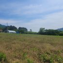 남경부동산공인중개사사무소 이미지