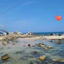 연동항 어촌뉴딜 300사업 화장실 | 양양 남애3리해수욕장 아이와 가기 좋은 강원도 스노클링 명소 총정리