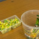 원숙경 | [데코 후기] 인권센터와 함께 하는 재미있는 인권 강의 후기