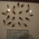 양평곤충박물관 이미지