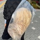 어거스마틴(주) | 우리는 얼마나 함께 이 사랑을 만끽했는가