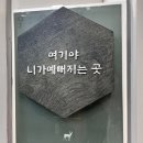 미인실면도