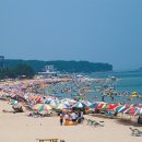 진하해수욕장 이미지