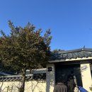 강원도 강릉 여행 숙소: 스테이인옥, 중앙시장 인근 감성 한옥 독채 숙소 내돈내산 후기