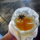 광산구-006 | 푸켓 추천 리조트 - 감각적이고 유니크한 더 슬레이트 (구 인디고 펄) ① 부대시설편 ★