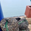 무등펜션 이미지