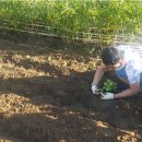 낙성대동-25 이미지