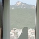 호텔베이204 이미지
