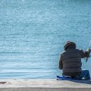 진벌낚시공원 이미지