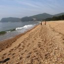 콩돌해변 Daum카페