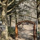 【56. 백암산白巖山(순창, 장성), 741m 】 「암석이 모두 흰색을 띠어 '흰 바위'라는 이름이 붙은 산」 이미지