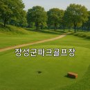 황룡 파크골프장 A 이미지