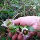 이안농장 이미지