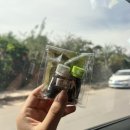 📍차마객잔 -&gt; 티나객잔 1박 2일 호도협 트레킹 일기 🏃