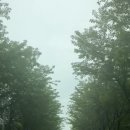 더케이골프의령리온CC점 - 4325 | 의령 리온CC 리얼 후기