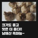 남해흑마늘