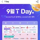 타르트데이