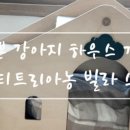 멍이네 하우스 이미지