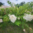 한강시민공원(파고라 쉼터) 이미지