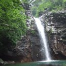 초록숲 하우스 이미지